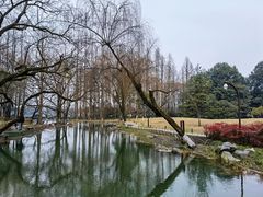 -九曜山