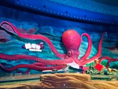 -青岛嘉年华主题乐园