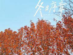 -大兴滨河森林公园