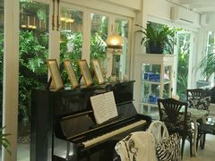 -Fern Forest Cafe