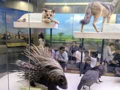 -国家自然博物馆