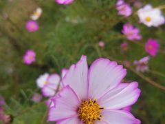 -汉长安城未央宫国家考古遗址公园