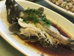 清蒸青斑鱼-鑫悦楼煎蟹·16年海鲜大排档