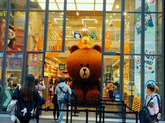 -line friends(明洞旗舰店)