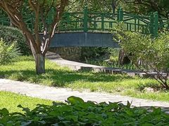 -望湖公园