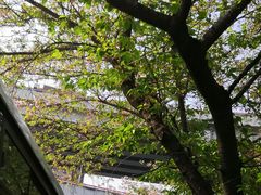 -南浦大桥长途旅游客运站