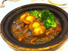 鲍鱼掌翼煲-稻香酒家·33年老字号·港式粤菜(富邦中心店)
