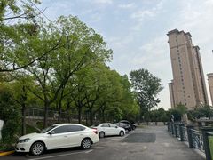 -陈家山荷花公园