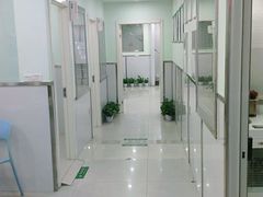 -佳雯宠物医院(金华南路分院)