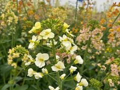 -中国天府农业博览园