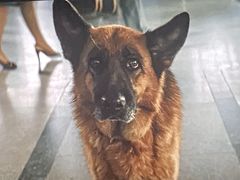 -中影国际影城(东方新天地CINITY店)