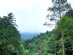 -姑婆山旅游区