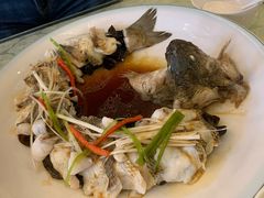 -博雅渔港·融合菜(维也纳国际大酒店)
