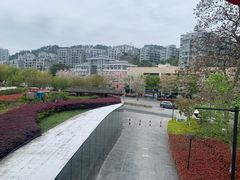 -几荷·恰似故人来(秀水广场店)