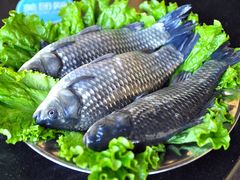 -恋羊时代黑山羊火锅(滨海大道店)