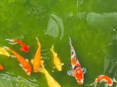-漫笙舍Manse·咖啡·民宿