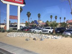 -In-N-Out Burger(LAX)