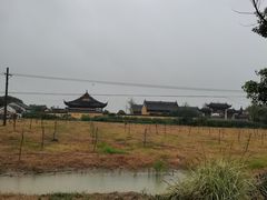 -七的湖·晚芳亭·阳澄湖农家菜·大闸蟹(莲花岛店)
