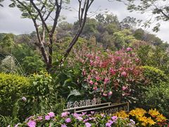 -云溪植物园