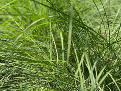 -西湖风景区-江洋畈生态公园