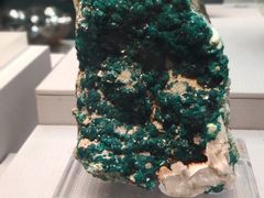 -湖南省地质博物馆