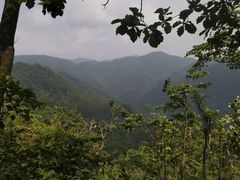 -关门山森林公园