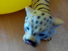 android_upload_pic-TOYSRUS玩具反斗城(厦门新生活广场店)