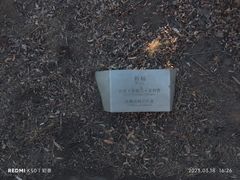 -长春北湖公园