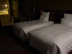 -南京禄口机场雅高铂尔曼大酒店