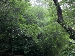 -杭州半山国家森林公园