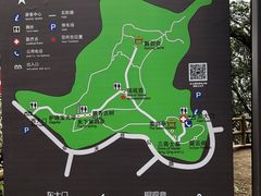 -上海佘山国家森林公园天马山园