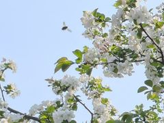 -浙江大学(玉泉校区)