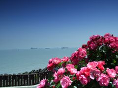 -上海滨江森林公园