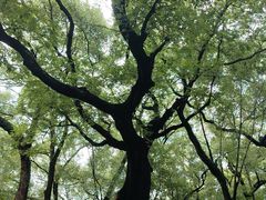 -晓港公园