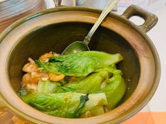 -美心·翠园(港汇恒隆广场店)