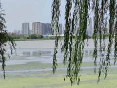 -金银湖国家城市湿地公园