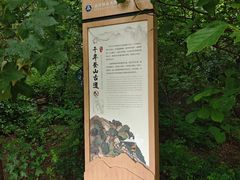 -北京鹫峰国家森林公园