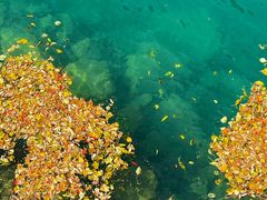 -叠溪松坪沟景区