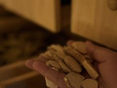 -汤悦温泉酒店(成都春熙路天府广场店)