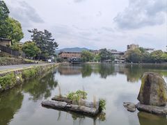 -奈良公园
