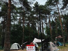 -黑龙江省森林植物园