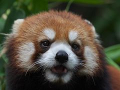 -广州长隆野生动物世界