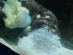 -苏州海洋馆