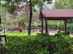 -国御温泉度假小镇