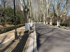 -灵谷景区