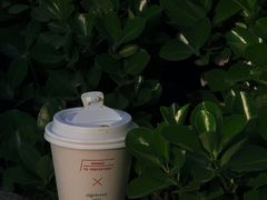 -代数学家algebraist(诚品店)