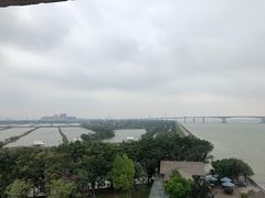 -大湾区中央湿地公园