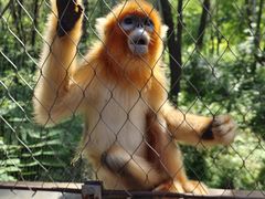 -哈尔滨北方森林动物园