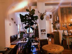 -懒鱼时光馆(沙坪坝店)