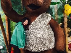 -济州岛泰迪熊博物馆